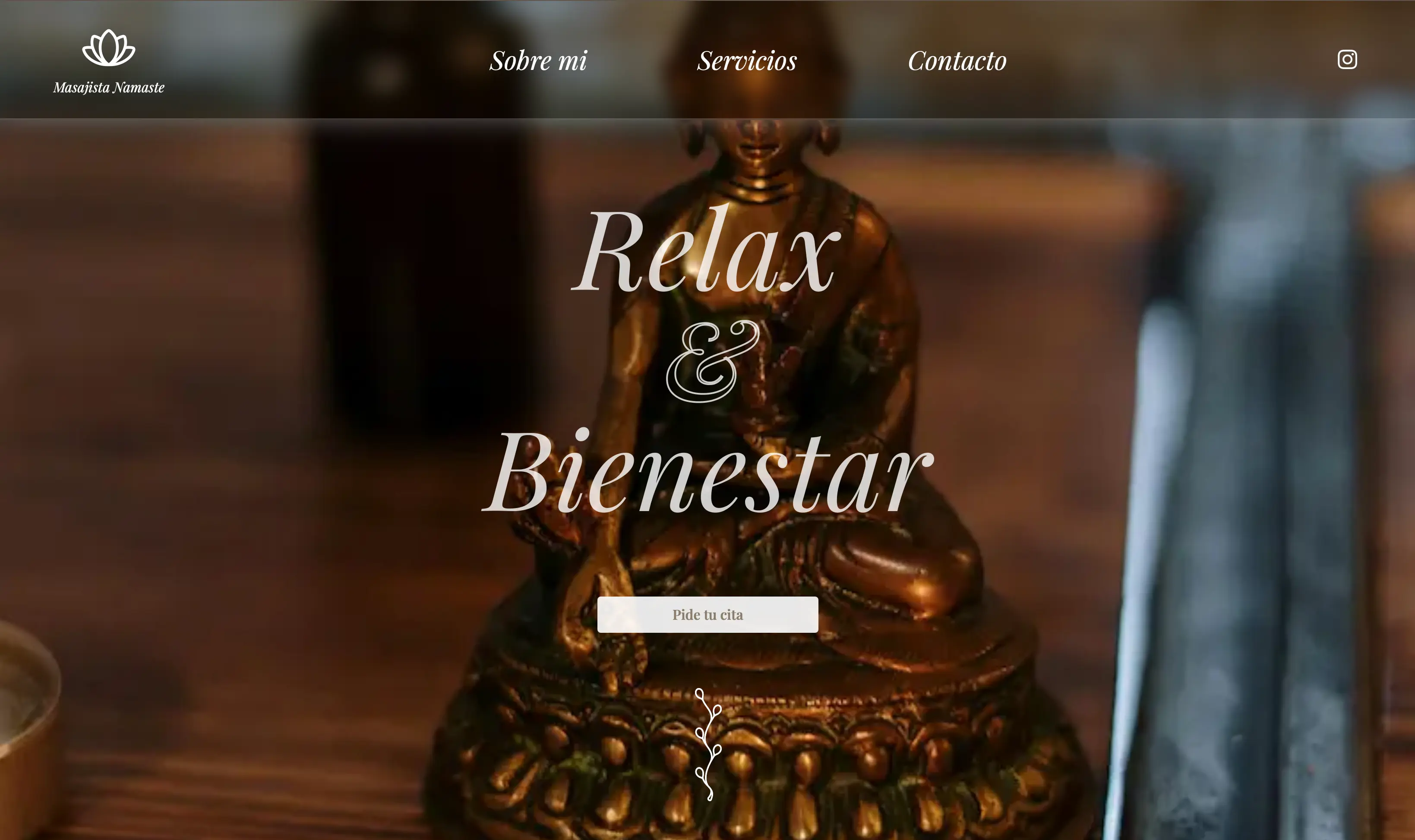 Captura del proyecto Masajista Namaste